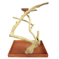 Medium Java Wood Table Top Play Stand K522