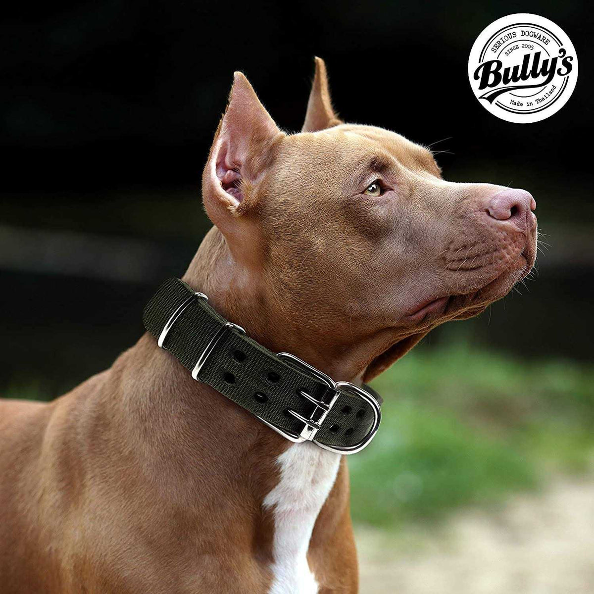 Dog Collar for Large Dogs H35871