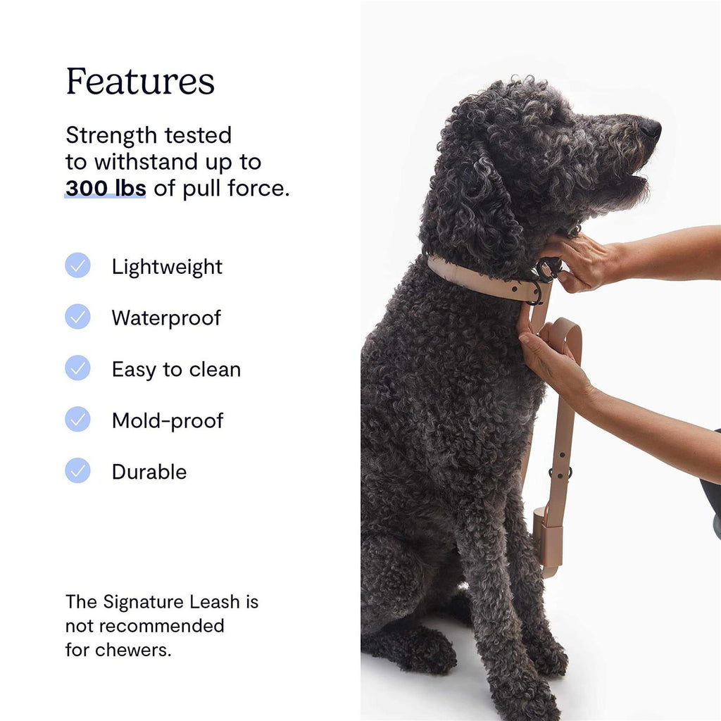 Dog Leash L114382