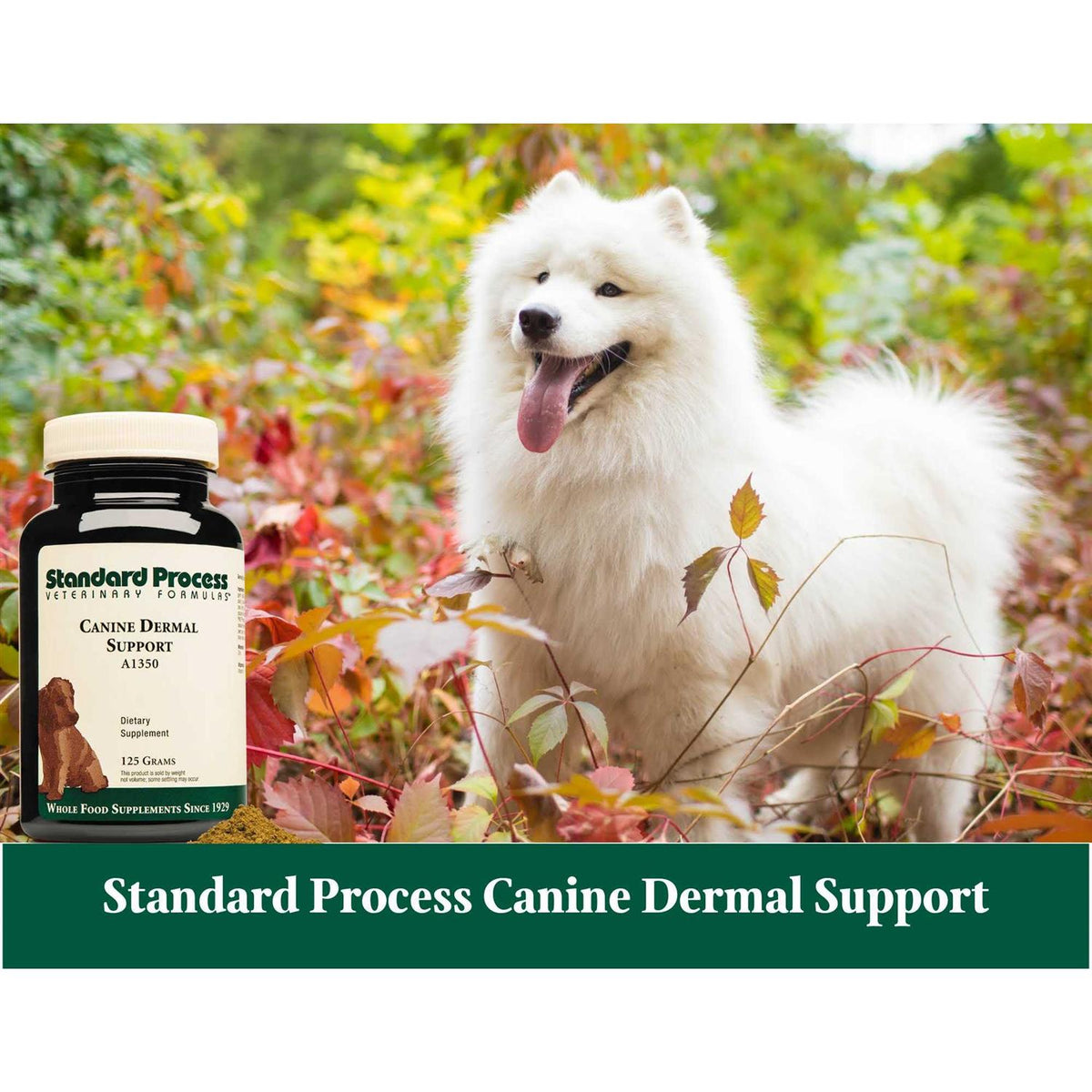 Canine Dermal Support K1653