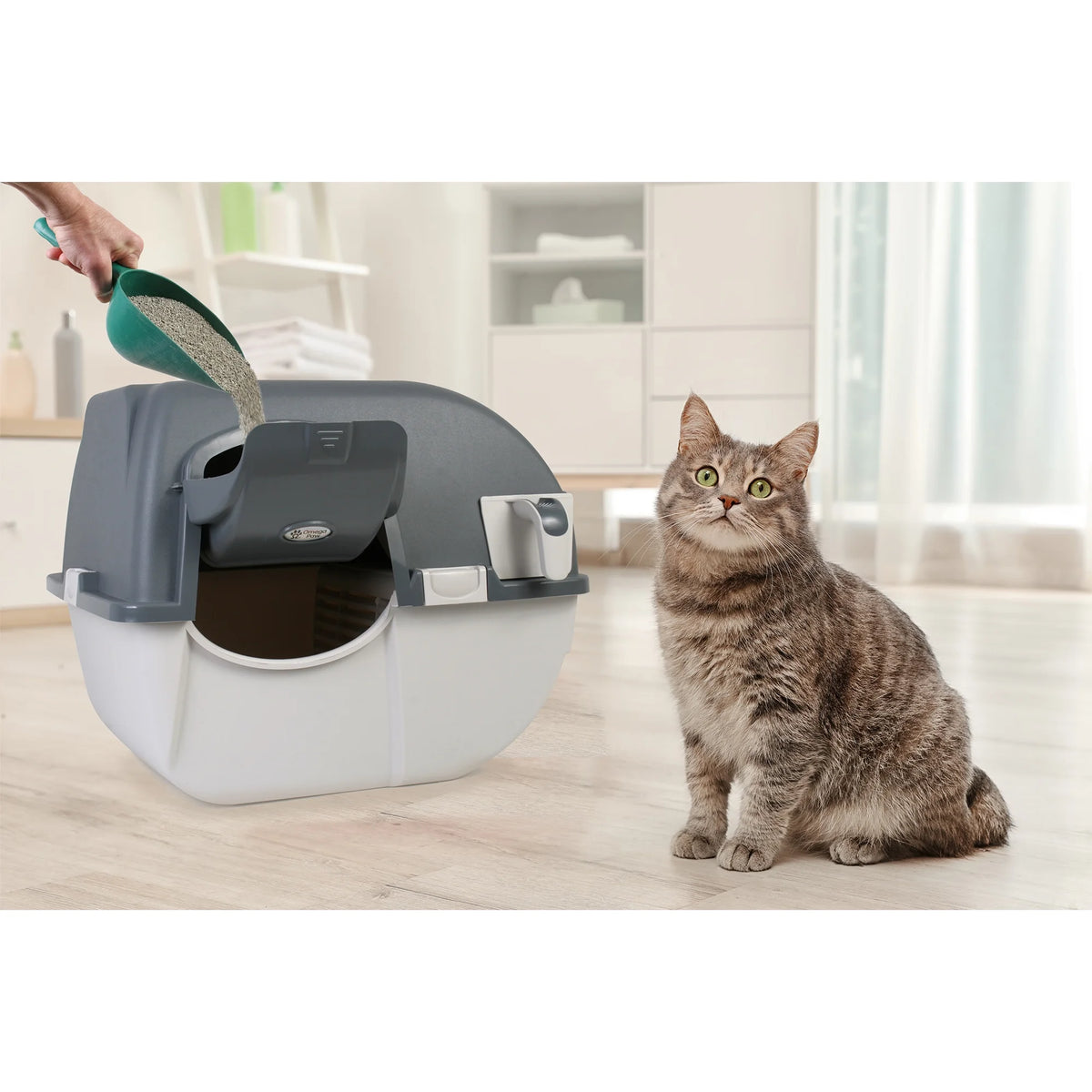 Regular Size Self Cleaning Litter Box H5476