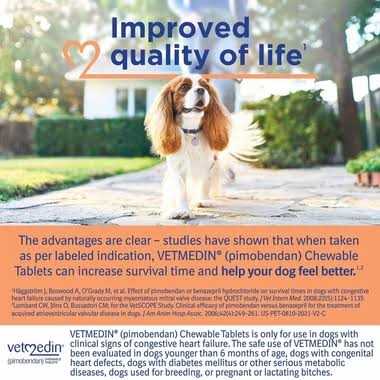 Chewable Tablets 1.25mg S9548