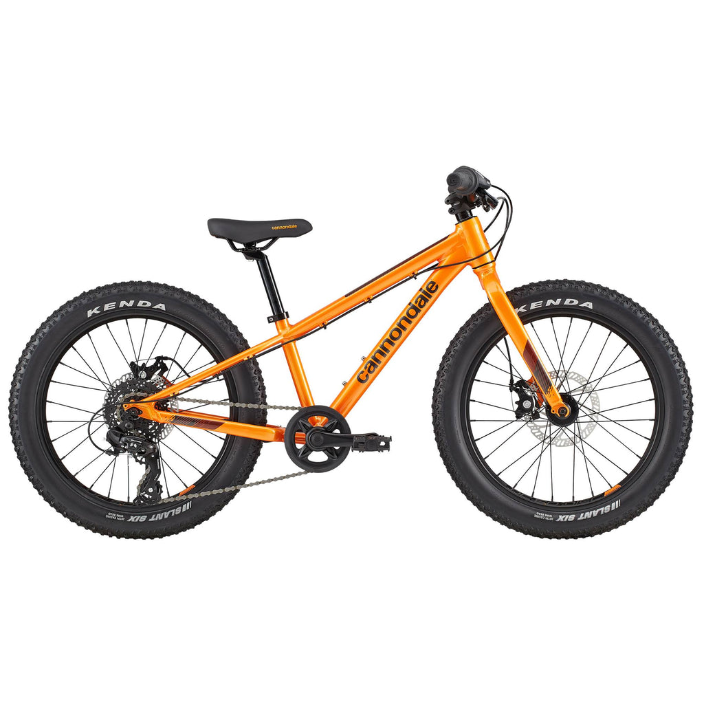 Crush 20x22 Kids Bike W304