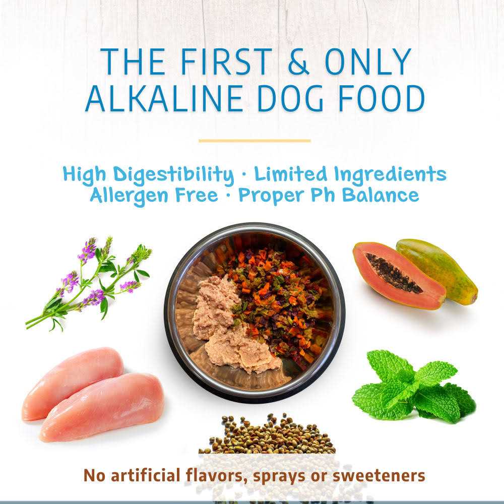 Holistic Dry Dog Food K69383