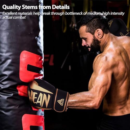 Boxing Training Gloves 10-16oz N188864