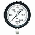 15000 Bottom Stainless Steel Pressure Gauge C3811