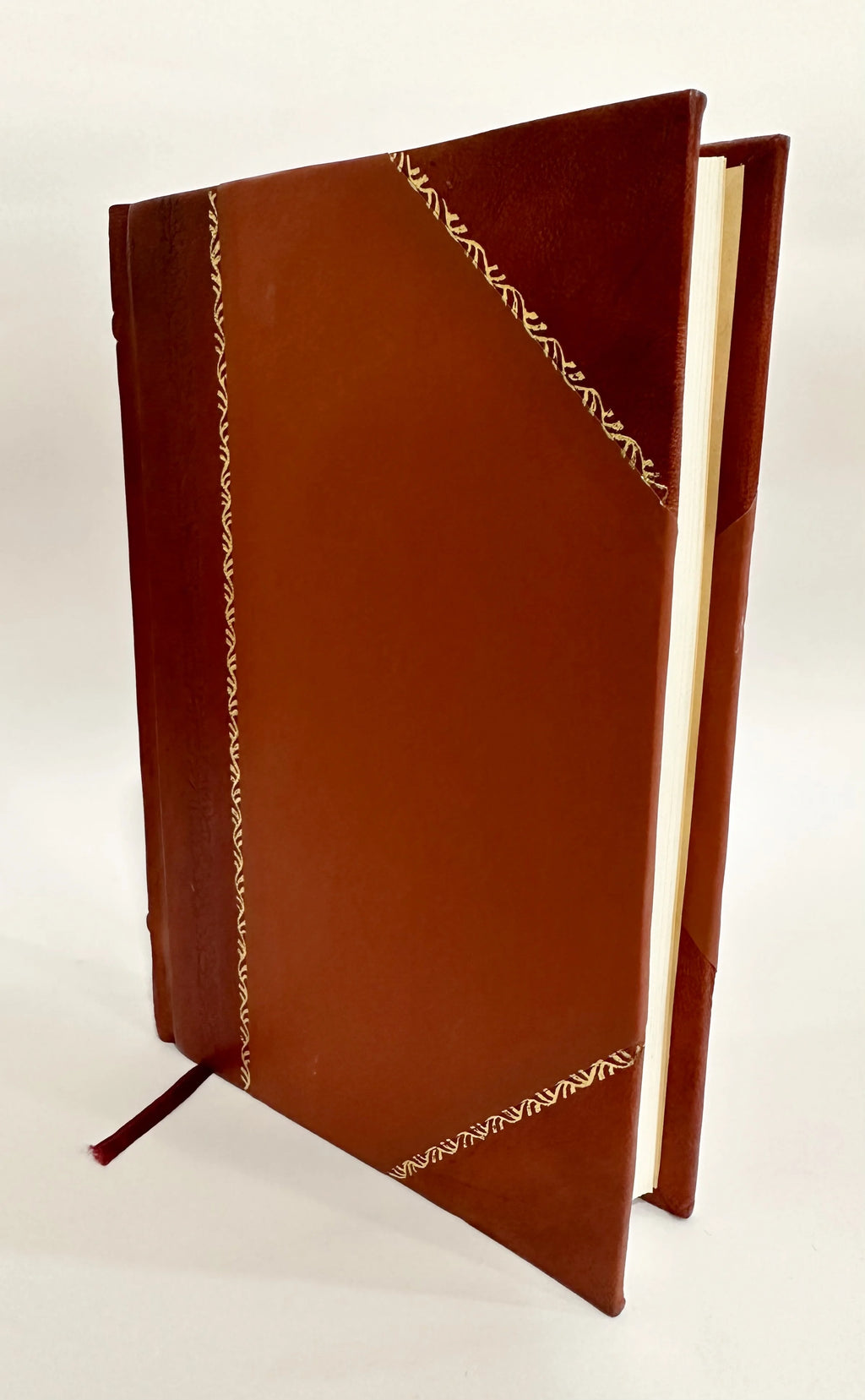 Outlaw and Lawmaker: A Novel [Leather Bound] N965