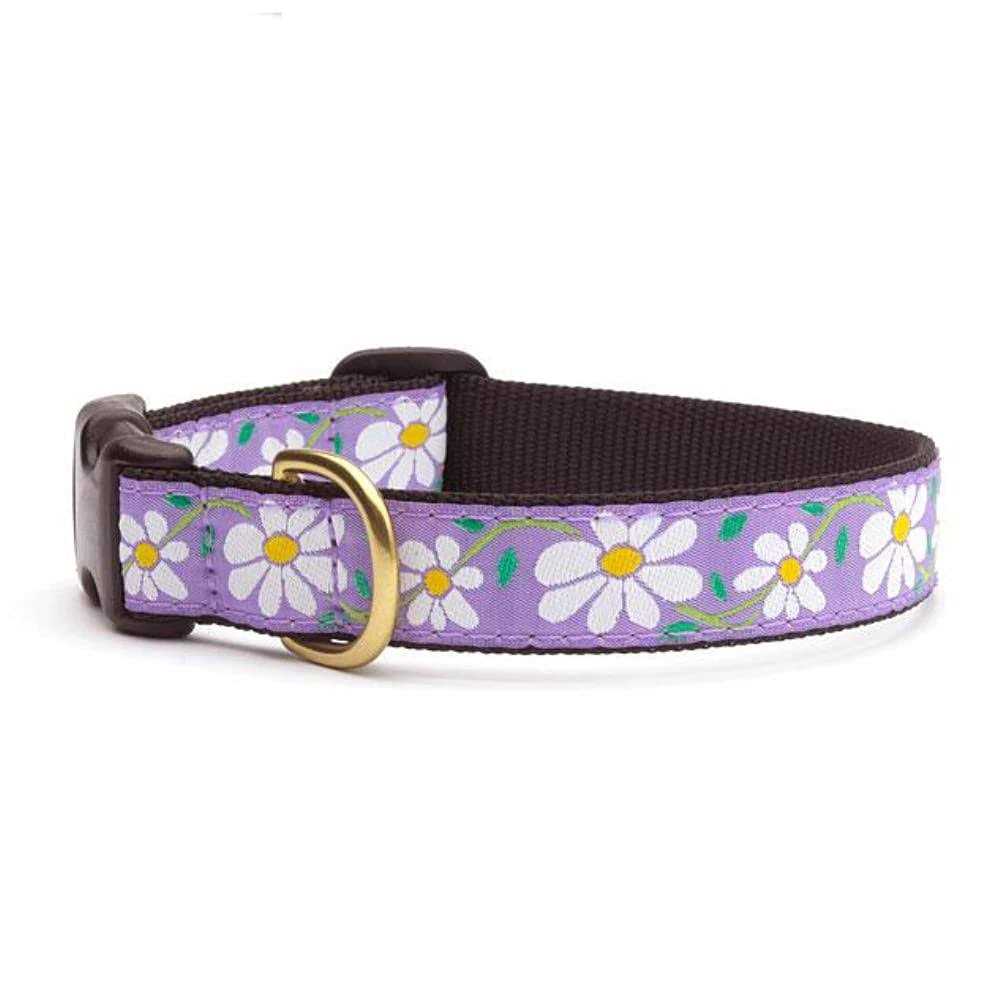 Dog Collar N63521