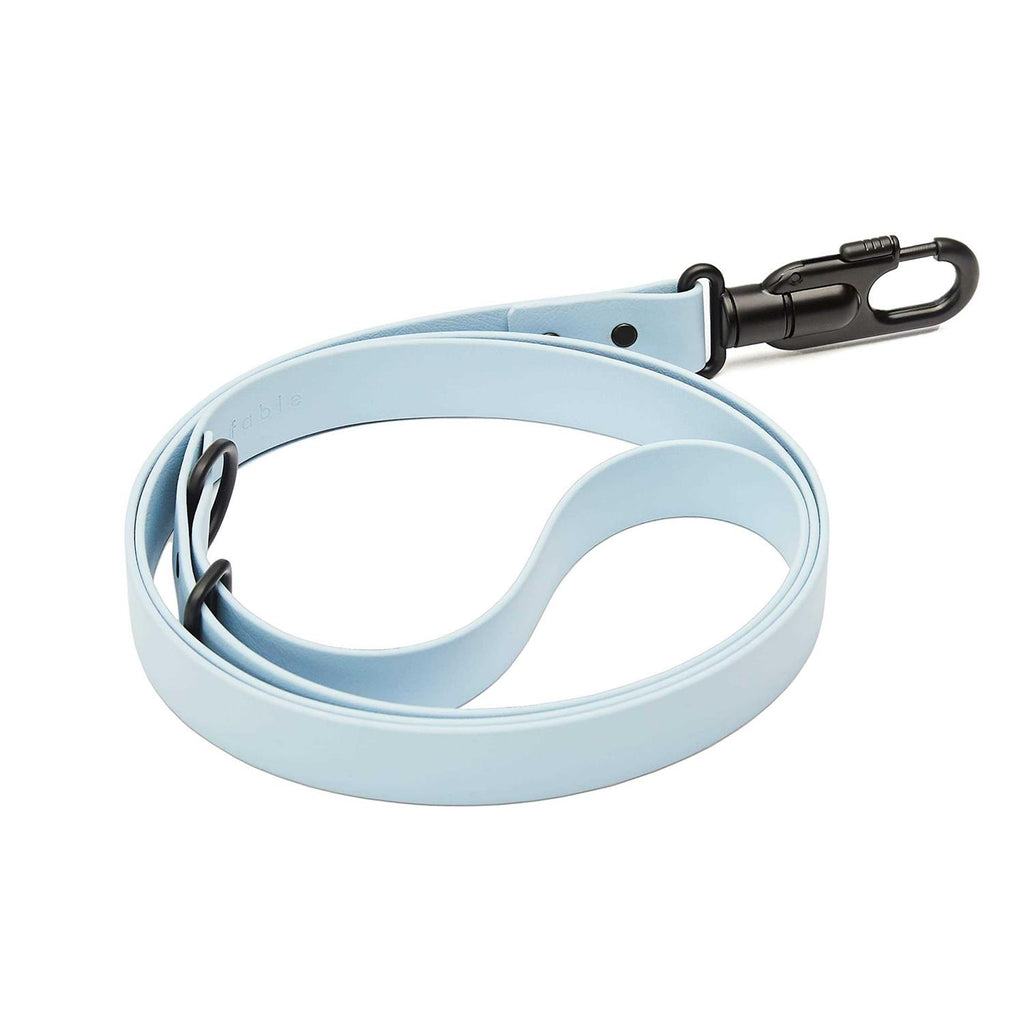 Dog Leash L114382