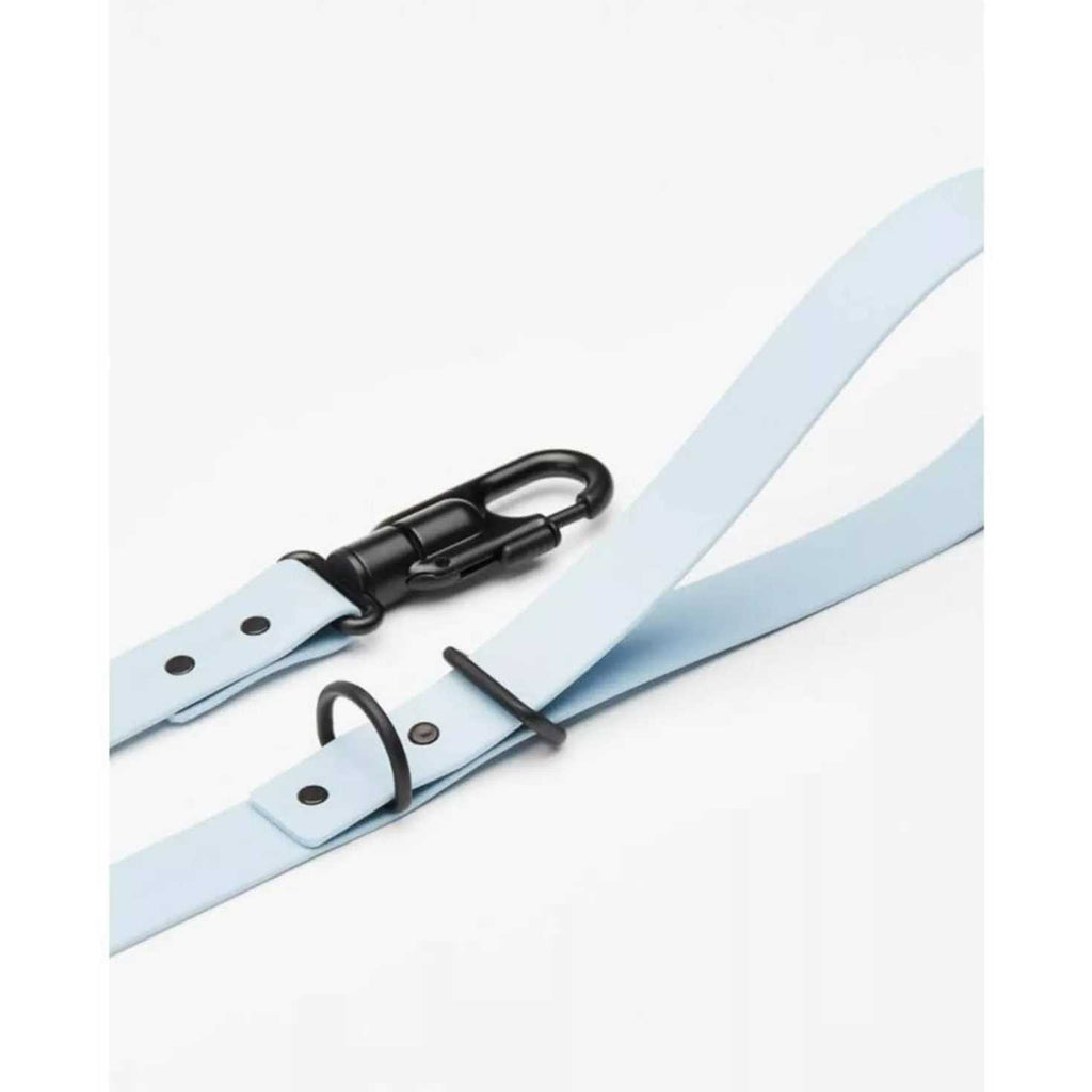 Dog Leash L114382