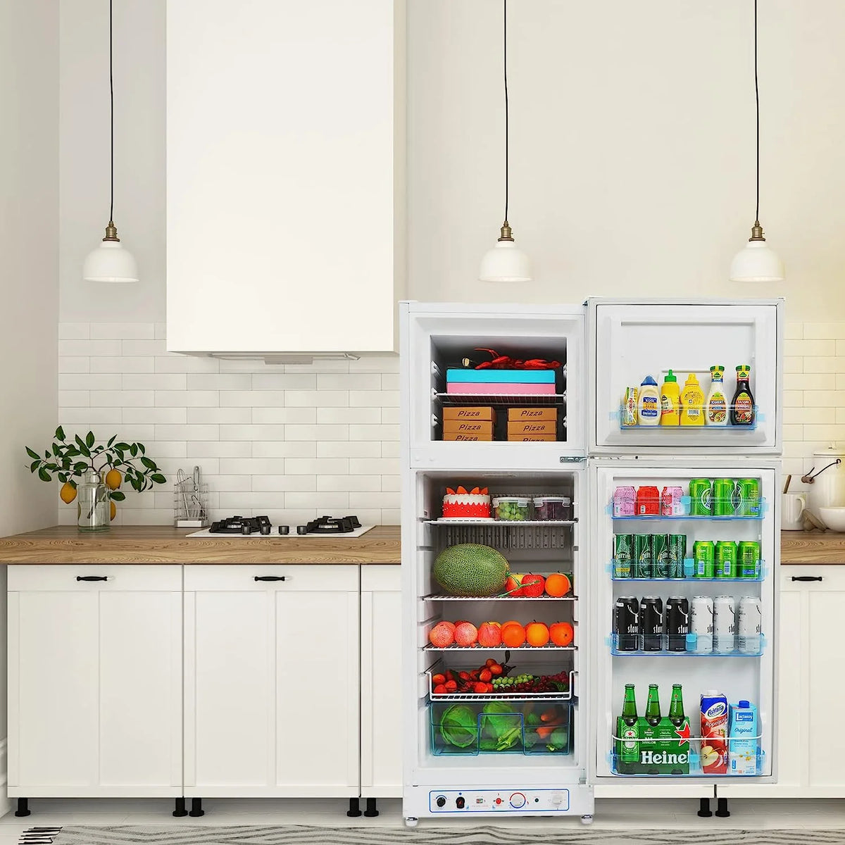 9.4 Cu ft Propane Refrigerator AC 110V E101