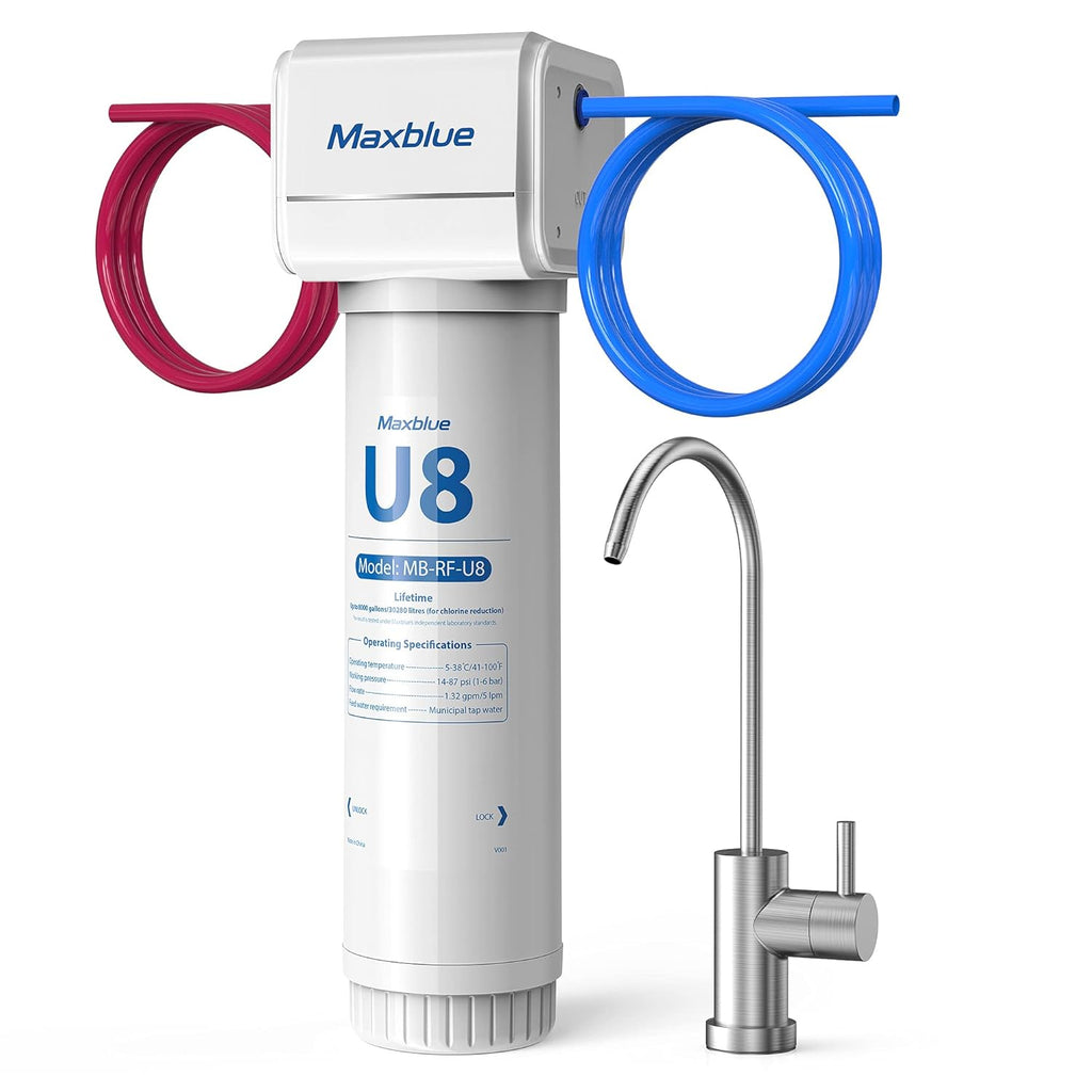 Under Sink Water Filter with Brushed Stainless Steel Faucet D100735