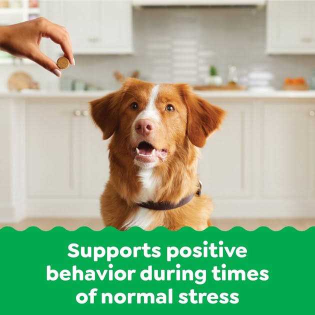 Calming Chews for Dogs Chicken Flavor X916