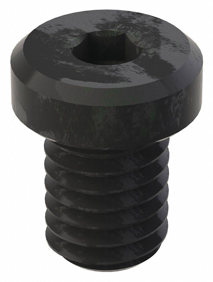 Black Oxide Alloy Steel Socket Head Cap Screw F536