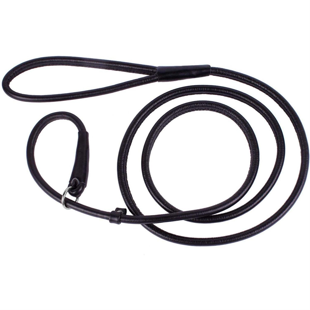Rolled Leather Dog Leash A770790