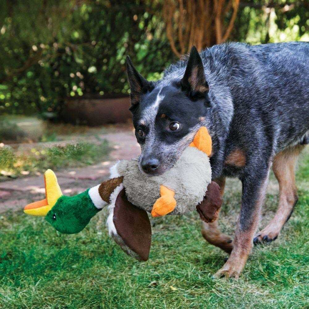 Flamingo Dog Toy A800
