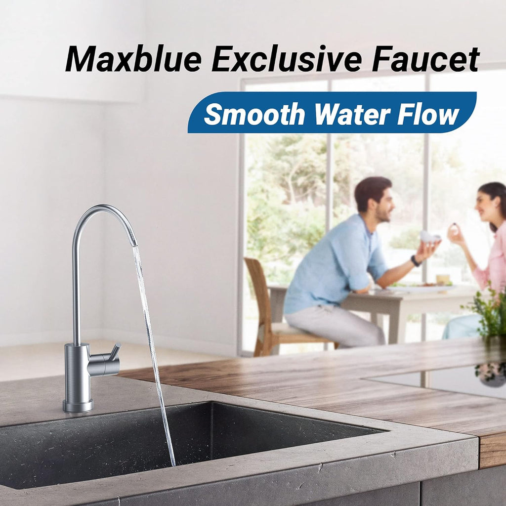 Under Sink Water Filter with Brushed Stainless Steel Faucet D100735