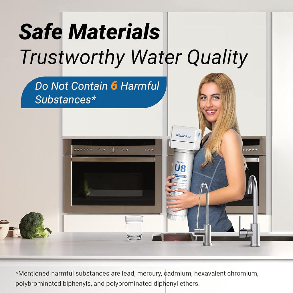 Under Sink Water Filter with Brushed Stainless Steel Faucet D100735