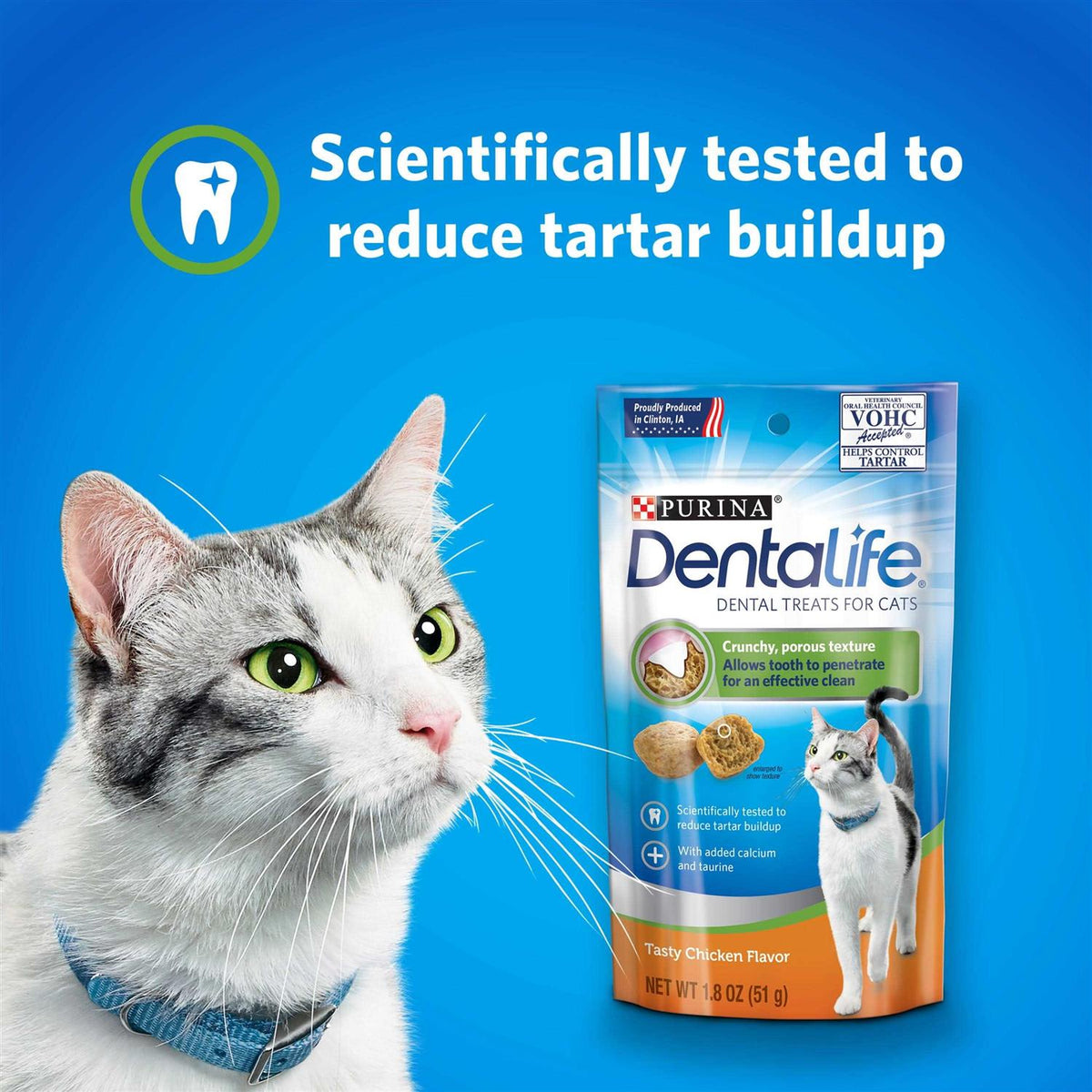 Cat Dental Treats V149