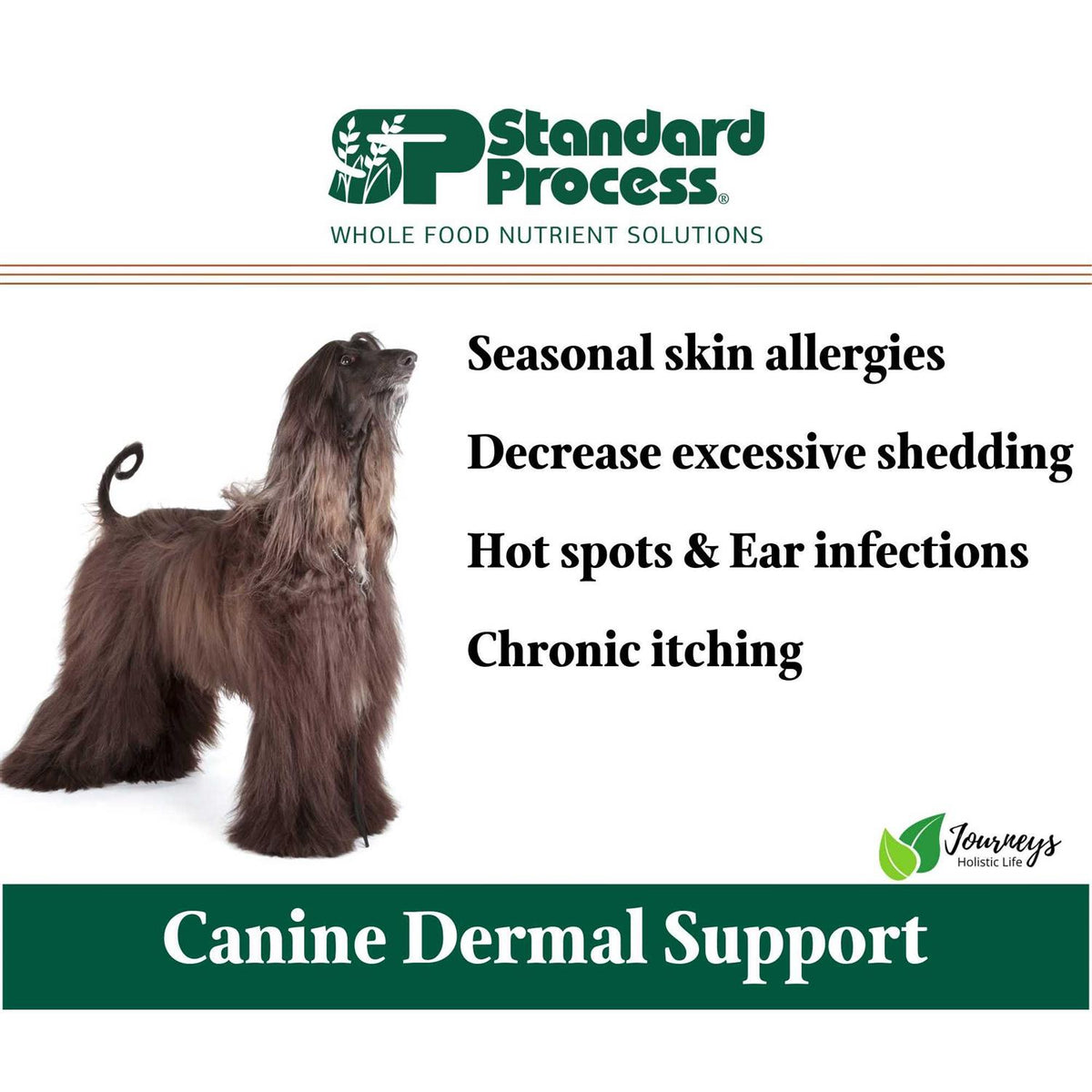 Canine Dermal Support K1653