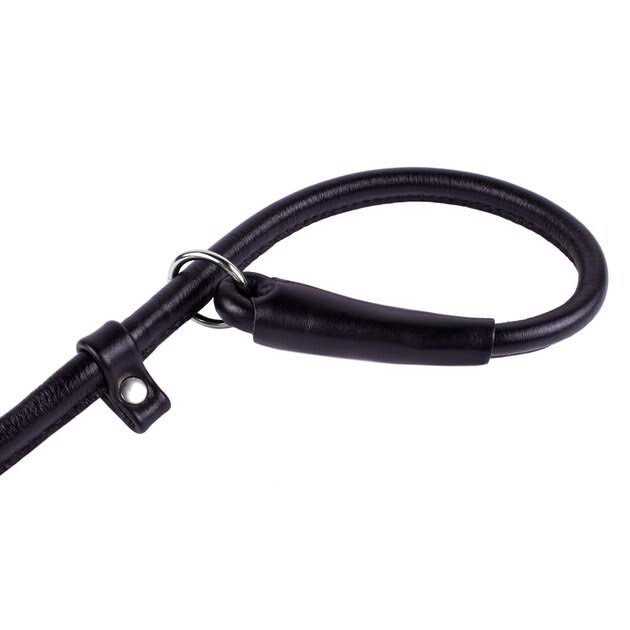 Rolled Leather Dog Leash A770790