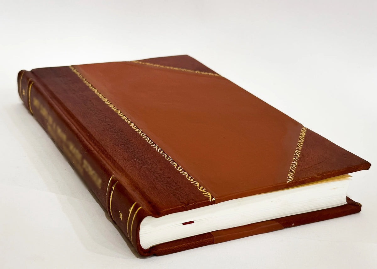 Outlaw and Lawmaker: A Novel [Leather Bound] N965
