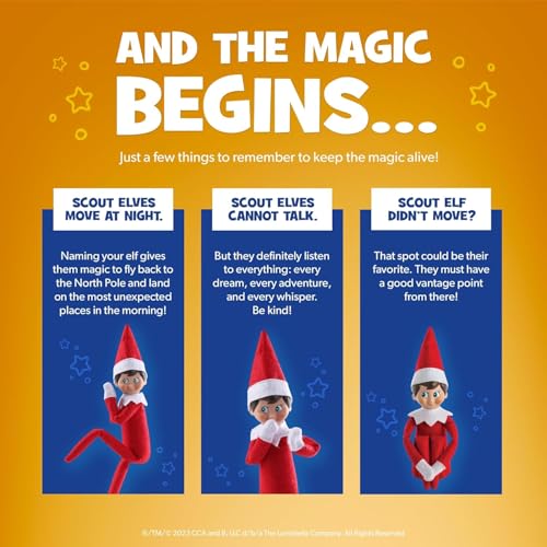 Blue-Eyed Boy Elf with Book and DVD Box Set R697