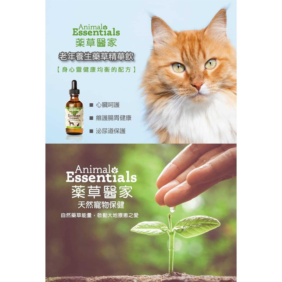 Senior Support Pet Supplies O148291