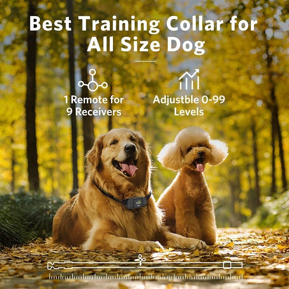 Dog Training Collar with Remote, 1 Count Pack of 2 N645831