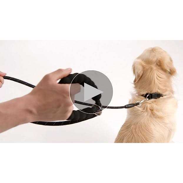 Heavy Duty Reflective Dog Leash Y400674