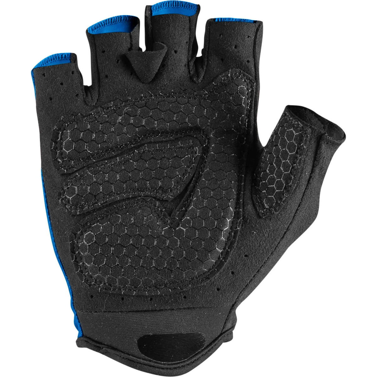 Blue Gloves P430635
