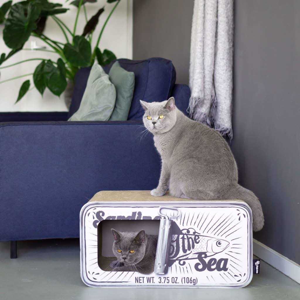 Cardboard Cat Scratcher E773656
