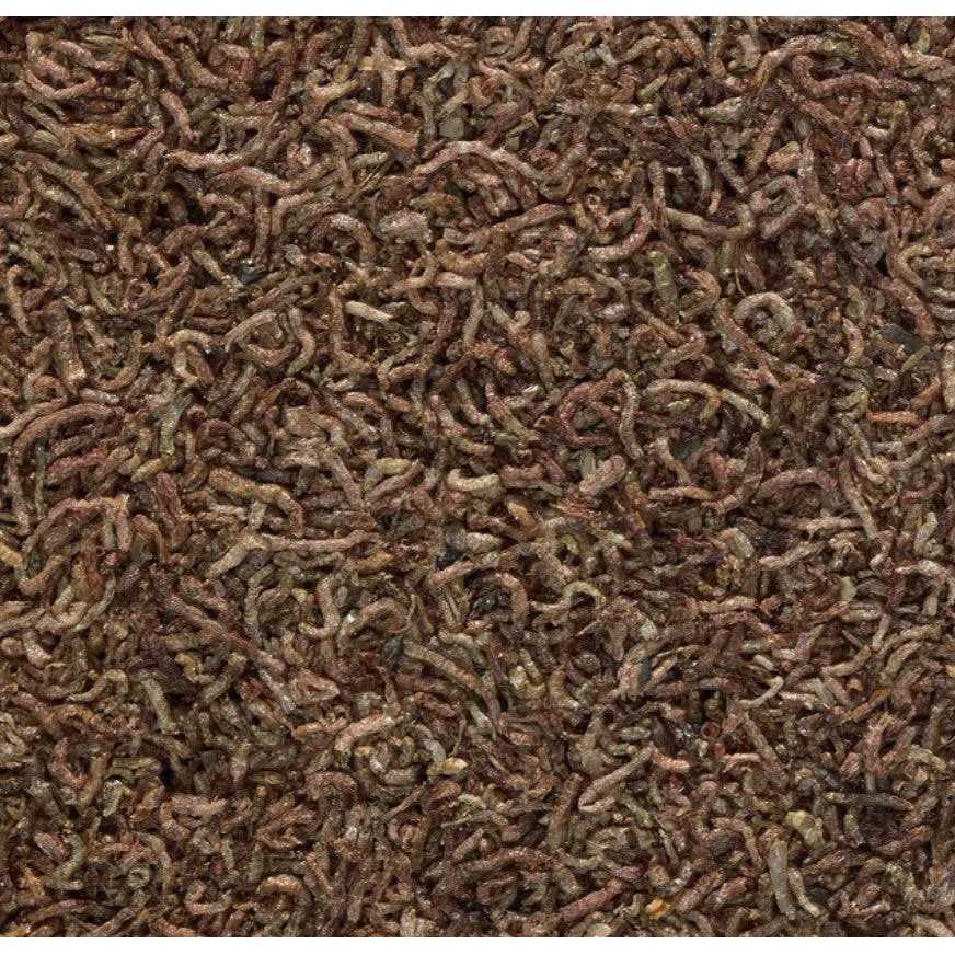 Freeze Dried Bloodworms Fish Food E334466