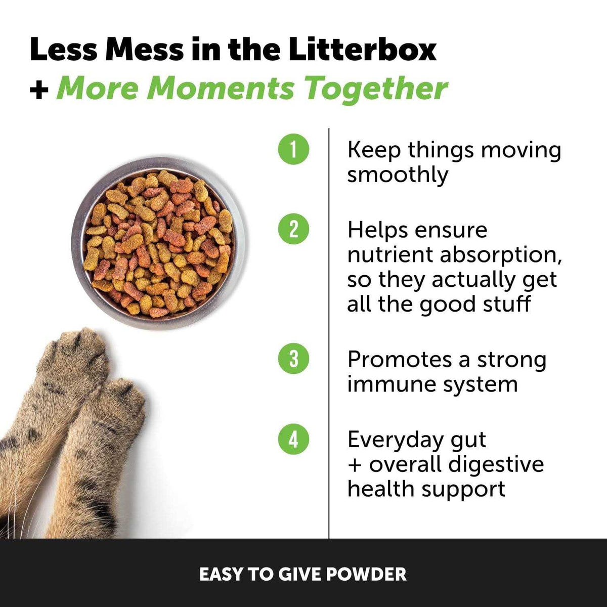 Digestive Probiotics for Cats P502