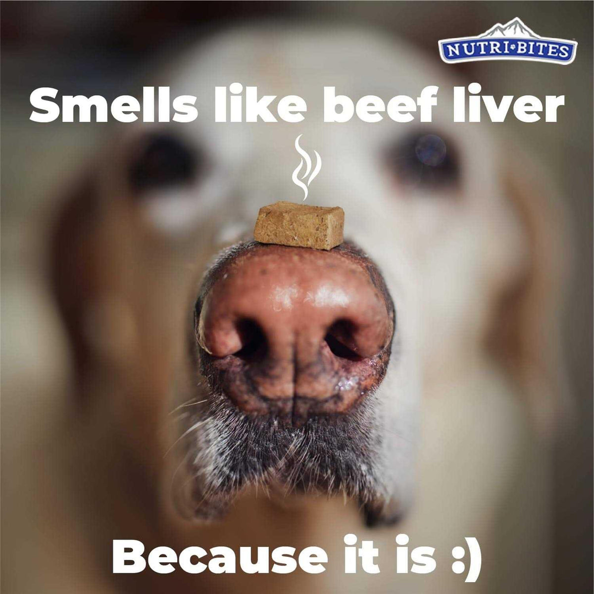 Freeze Dried Beef Liver Dog & Cat Treats X593