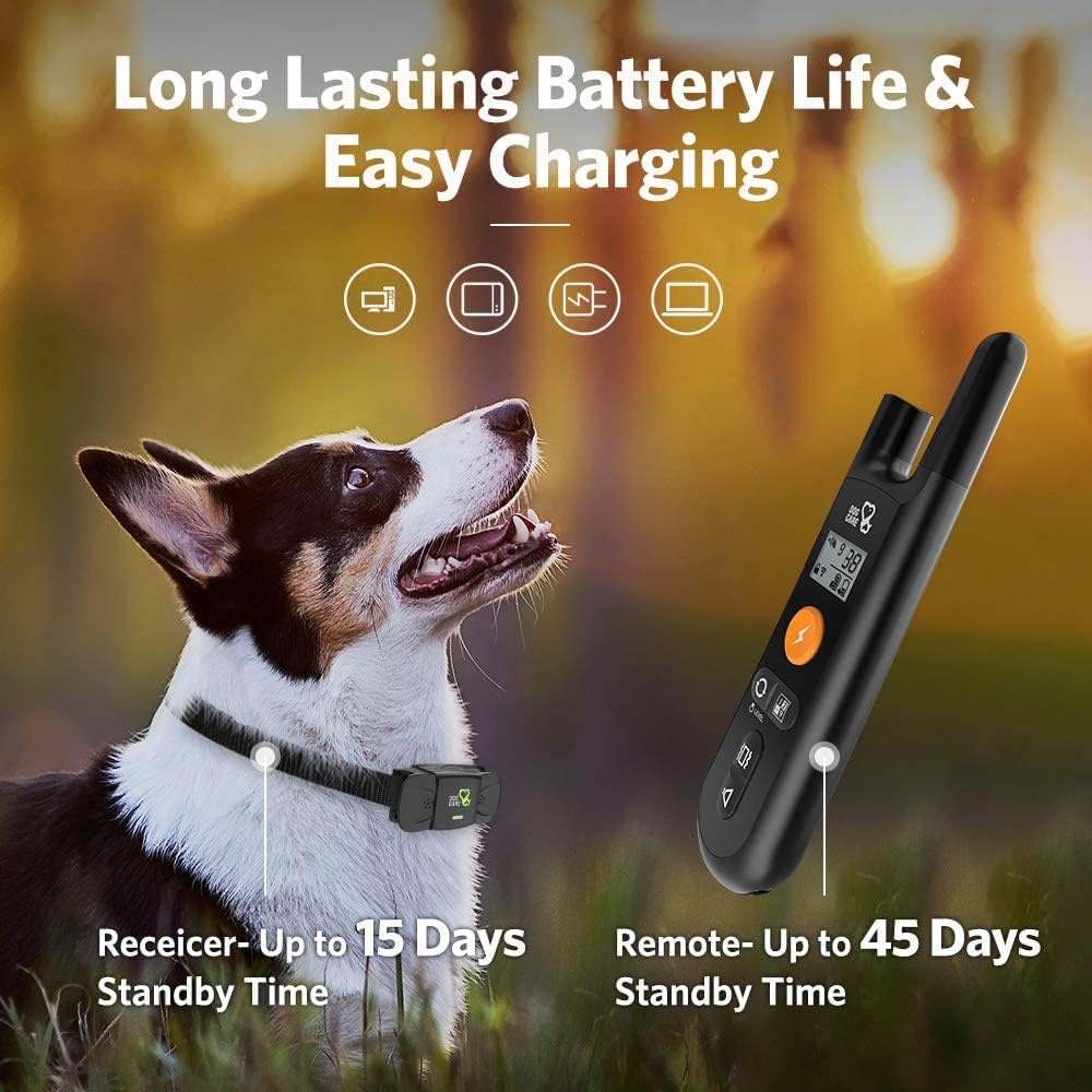 Dog Training Collar with Remote, 1 Count Pack of 2 N645831