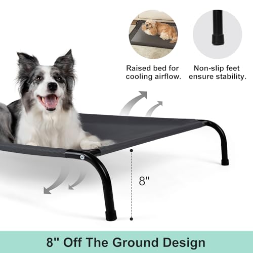 Elevated Dog Bed with Breathable Mesh, 41" L x 32" W x 8" Th, Grey S37952