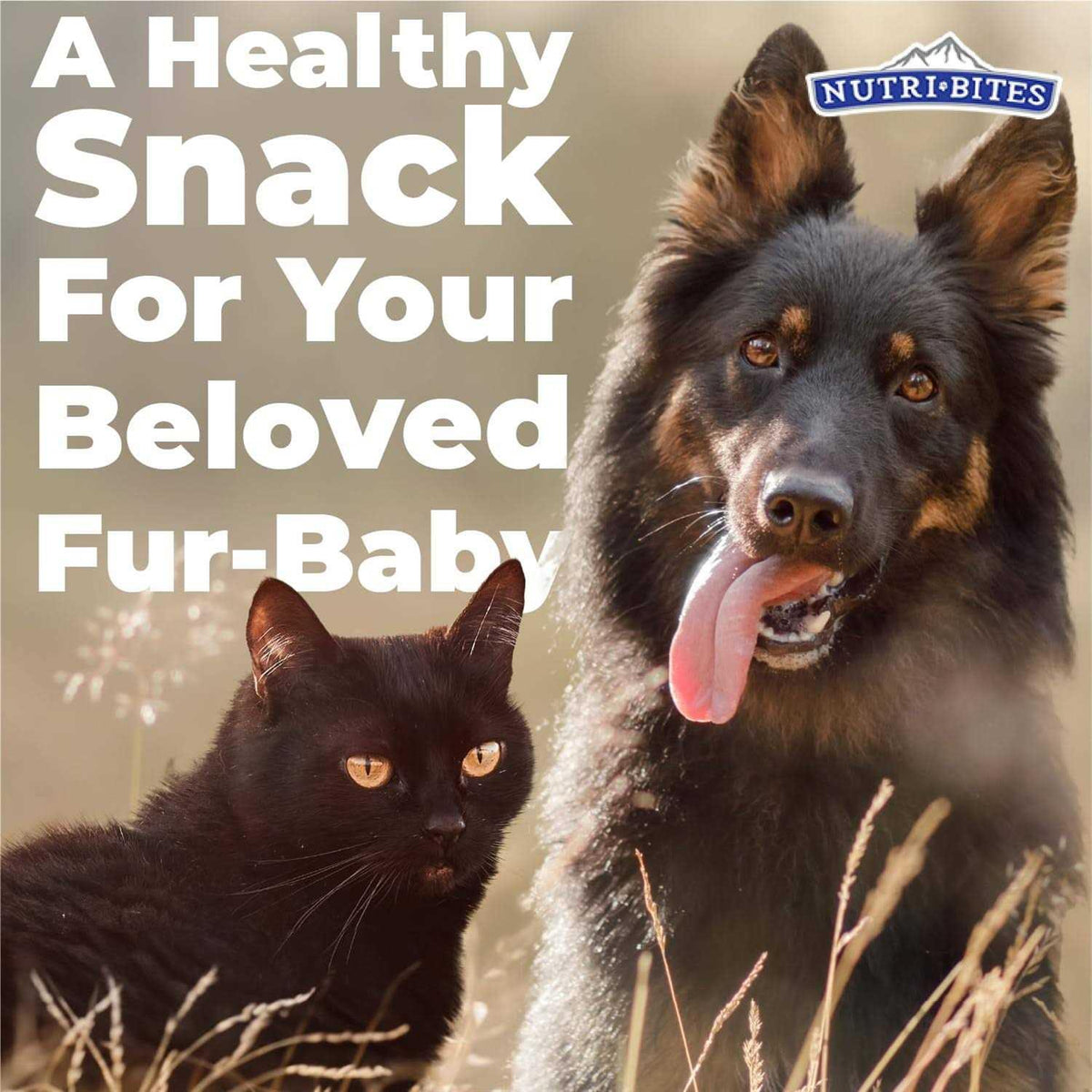 Freeze Dried Beef Liver Dog & Cat Treats X593