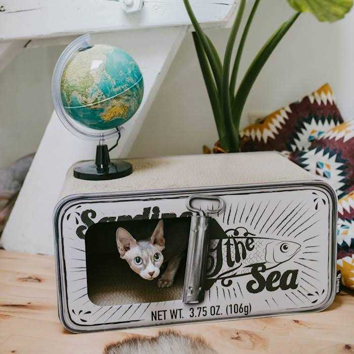 Cardboard Cat Scratcher E773656