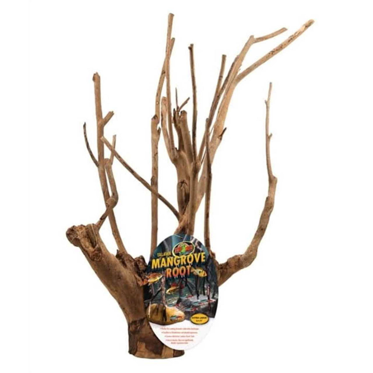 Mangrove Root Q409735