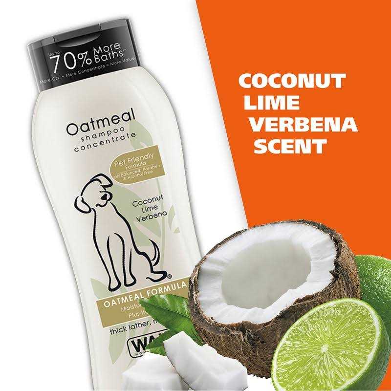 Oatmeal Coconut Lime Verbena Shampoo Concentrate M83213