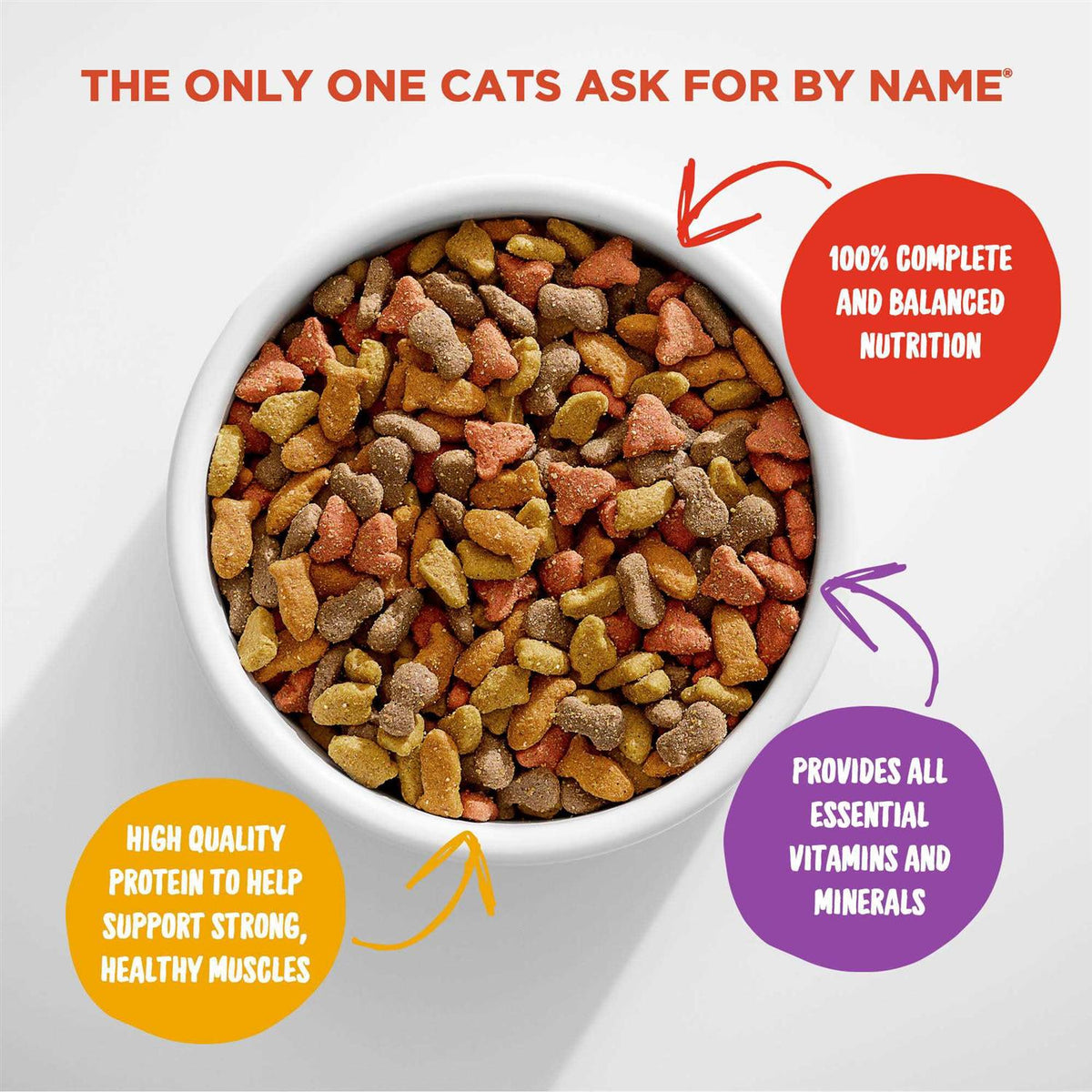 Dry Cat Food C3255