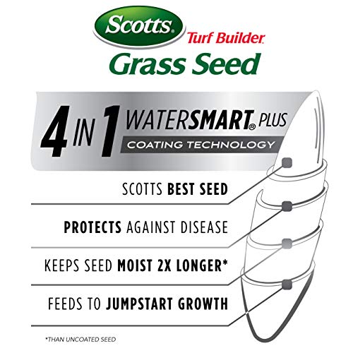 Tall Fescue Grass Seed Mix with Fertilizer and Soil Improver, 5.6 lbs. G1582