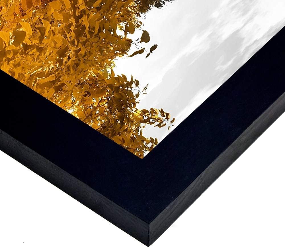 Black 3 Pack 18x24 Picture Frame Solid Wood G76374
