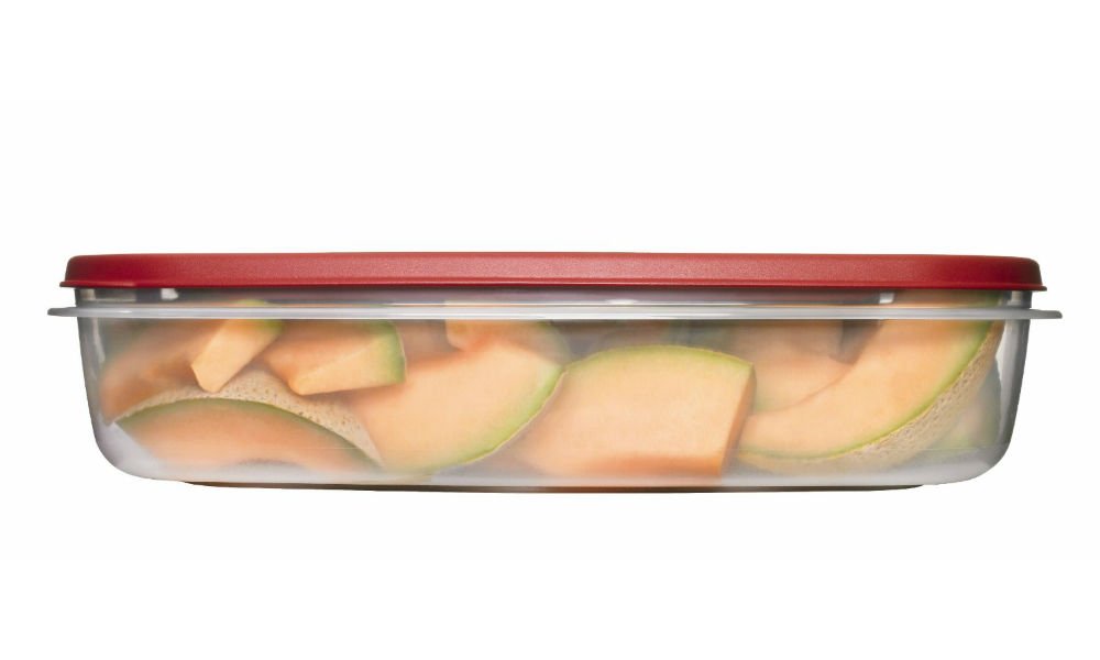 24 Cup Rectangle Food Storage Container E661