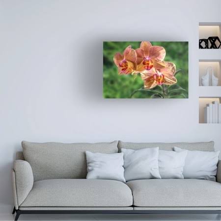 Canvas Art W197798
