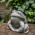Stone Frog B460