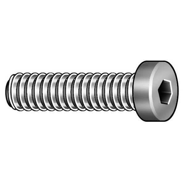 Black Oxide Alloy Steel Socket Head Cap Screw F536