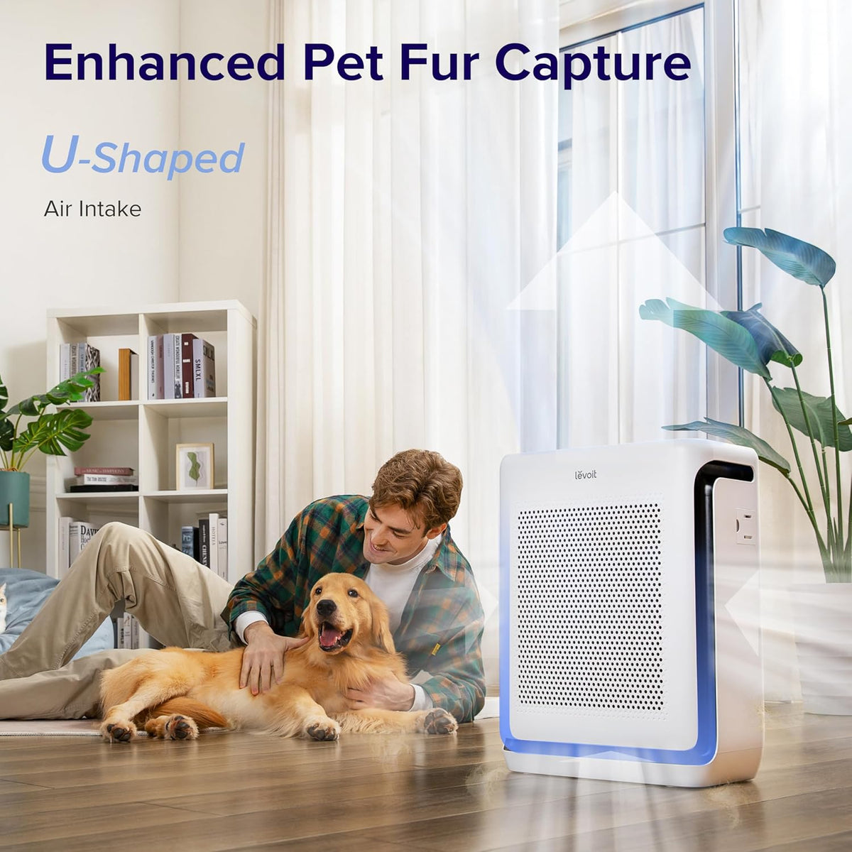 Air Purifier and Humidifier Bundle B54582