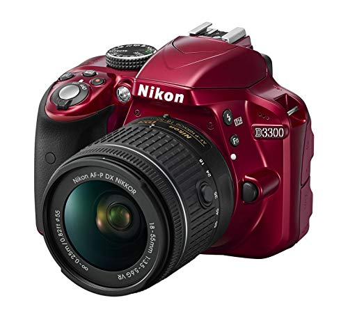 24.2 MP CMOS Digital SLR with 18-55mm f/3.5-5.6G VR II Zoom Lens (Black) N6173
